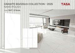 Gạch 60x120 Tasa 1647
