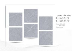 Gạch 60x60 Taicera GP68237J