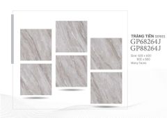 Gạch 60x60 Taicera GP68264J