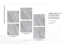 Gạch 60x60 Taicera GP68268J