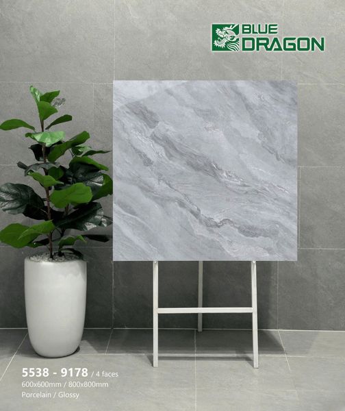 Gạch 60x60 Tasa 5538