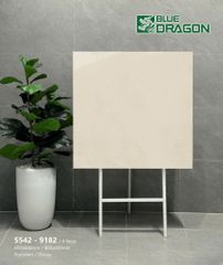 Gạch 60x60 Tasa 5542