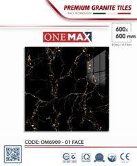 Gạch 60x60 Thắng Cường OM6909