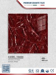 Gạch 60x60 Thắng Cường V6666