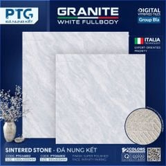 Gạch 80x80 PTG 86802