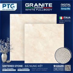 Gạch 80x80 PTG 86806