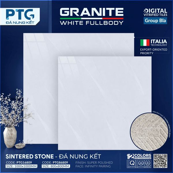 Gạch 80x80 PTG 86809