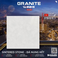 Gạch 80x80 PTG WM8001