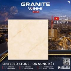 Gạch 80x80 PTG WM8003