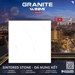 Gạch 80x80 PTG WM8005