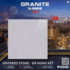 Gạch 80x80 PTG WM8009