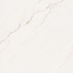 Gạch 80x80 Taicera GP88L52JW