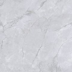 Gạch 80x80 Taicera GP88L58JW