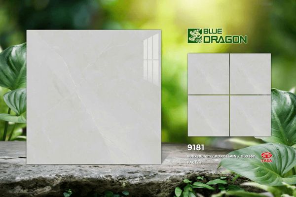 Gạch 80x80 Tasa 9181