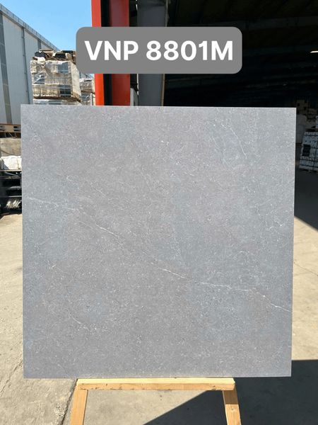 Gạch 80x80 VNHOME VNP8801M