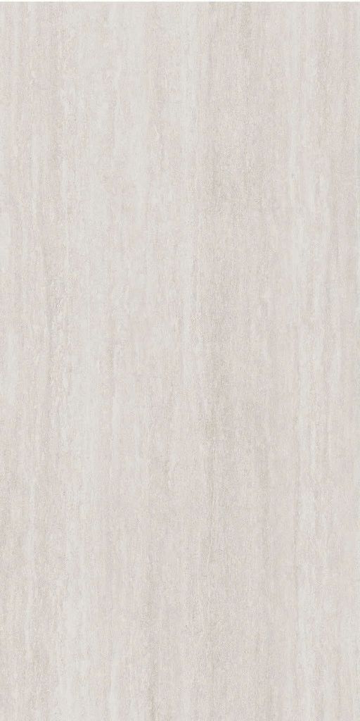 Gạch 60x120 Taicera G12321J