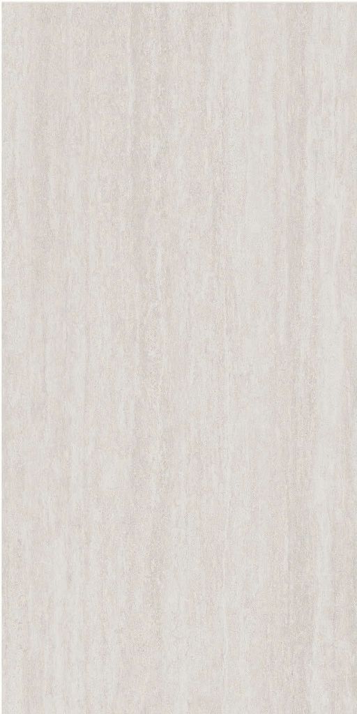 Gạch 60x120 Taicera G12321J