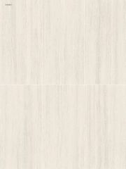 Gạch 60x120 Taicera G12323J