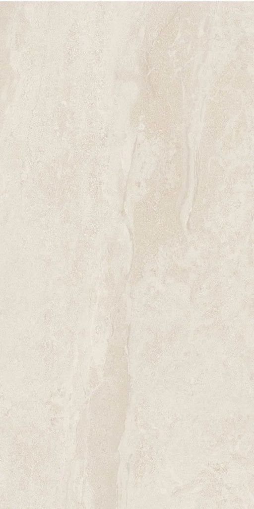 Gạch 60x120 Taicera G12823J