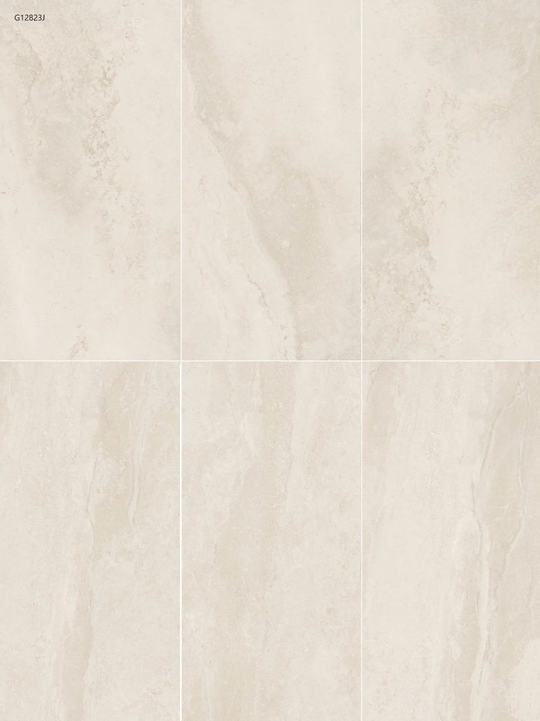 Gạch 60x120 Taicera G12823J