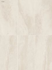 Gạch 60x120 Taicera G12823J