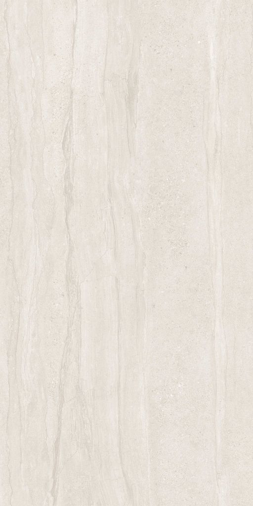 Gạch 60x120 Taicera G12P03JW