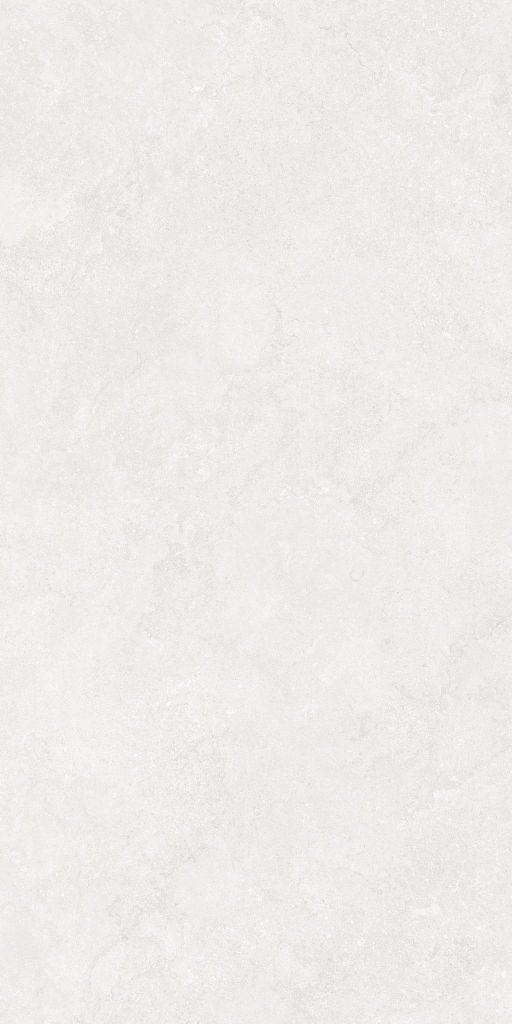 Gạch 60x120 Taicera G12P12JW