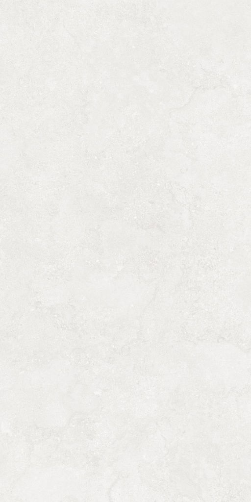 Gạch 60x120 Taicera G12P12JW