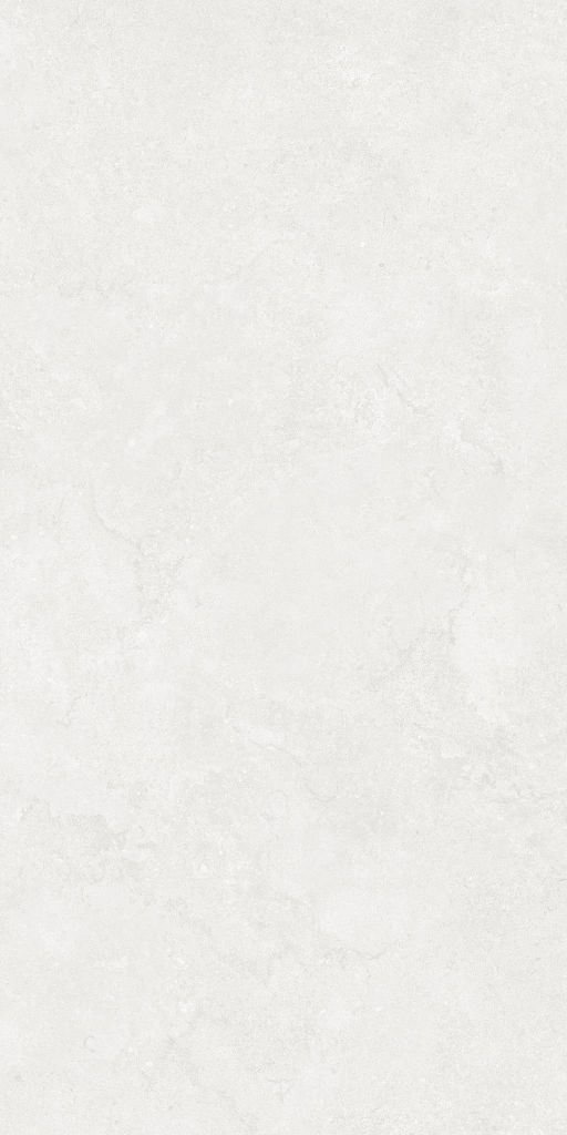 Gạch 60x120 Taicera G12P12JW