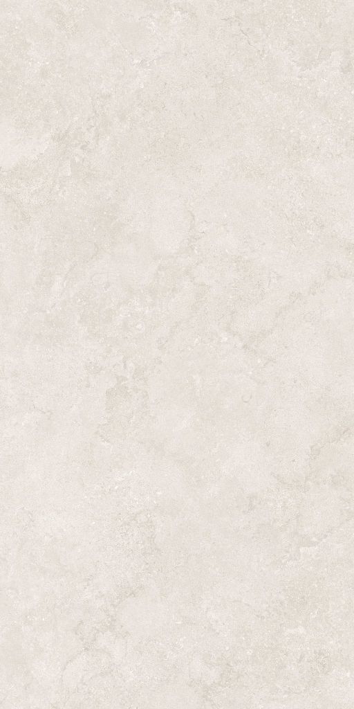 Gạch 60x120 Taicera G12P13JW