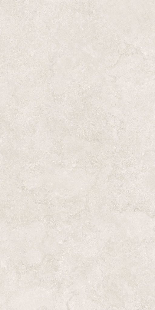Gạch 60x120 Taicera G12P13JW