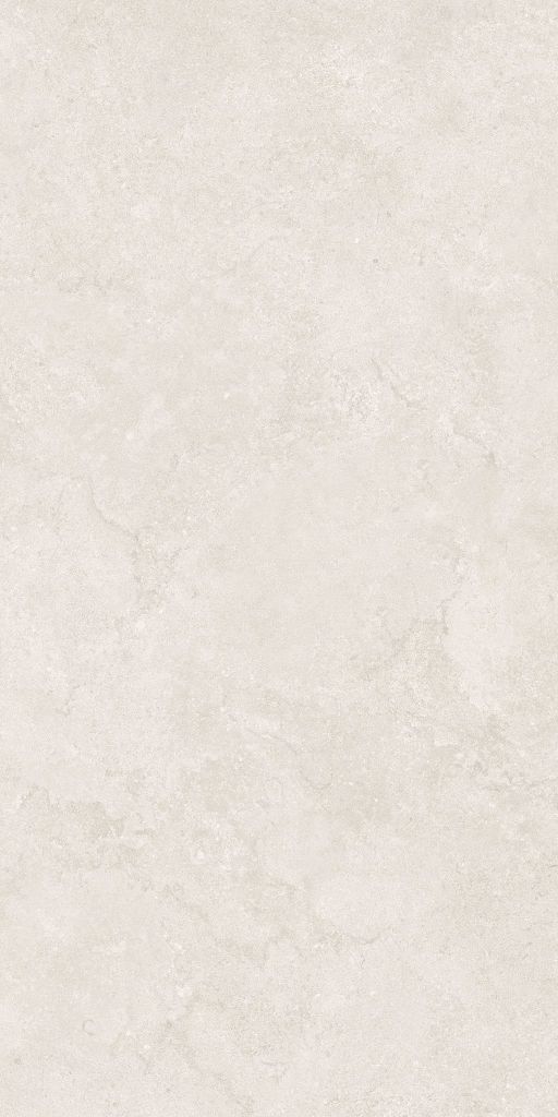Gạch 60x120 Taicera G12P13JW