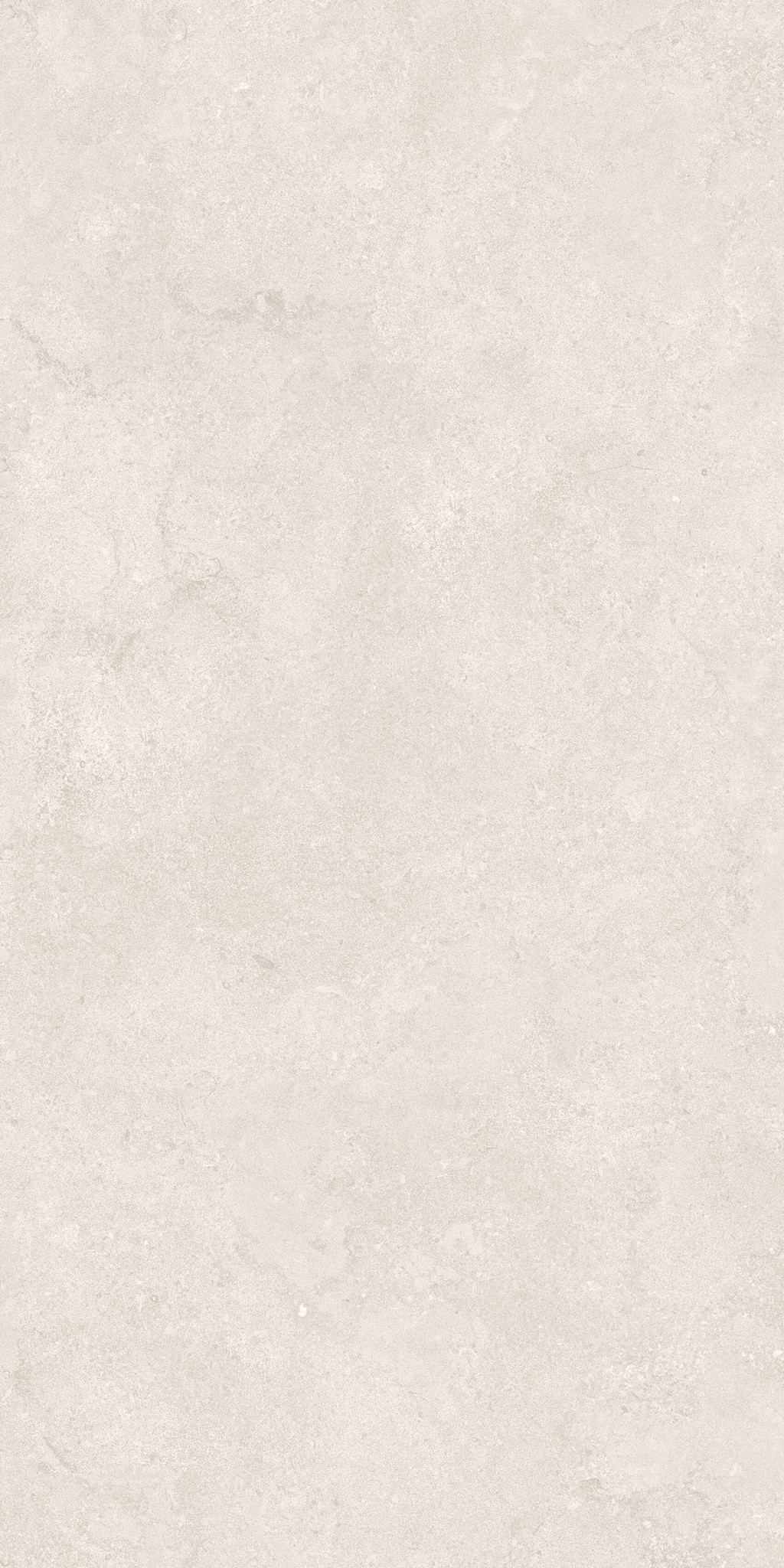 Gạch 60x120 Taicera G12P13JW