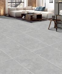 Gạch 60x120 Taicera G12P17JW