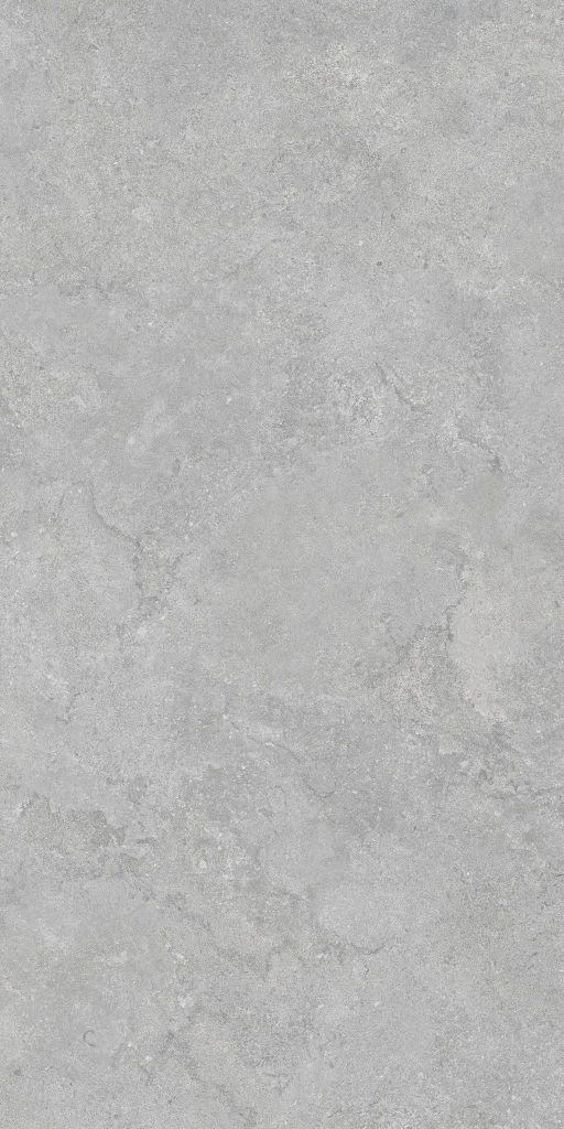 Gạch 60x120 Taicera G12P17JW