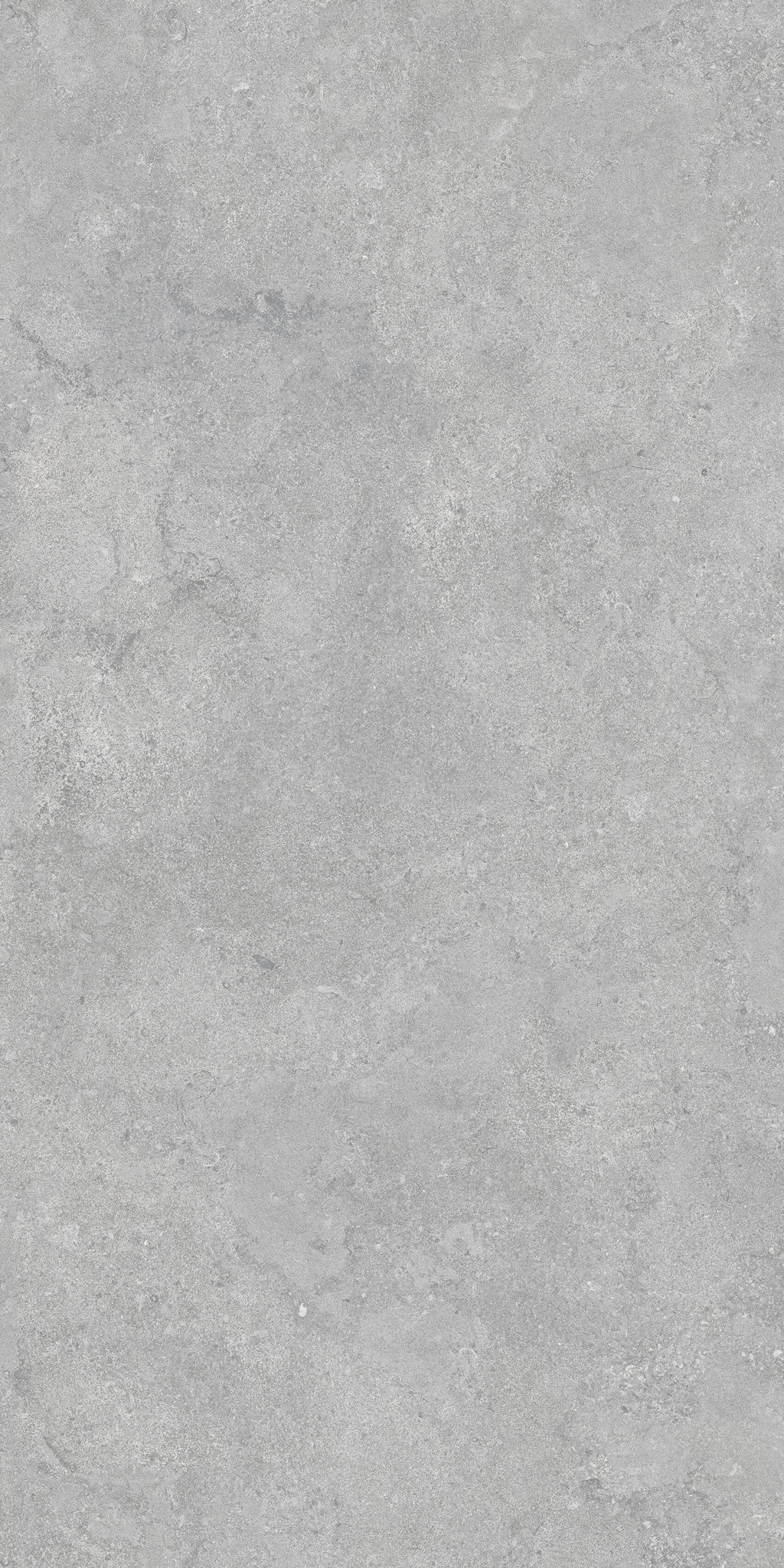 Gạch 60x120 Taicera G12P17JW