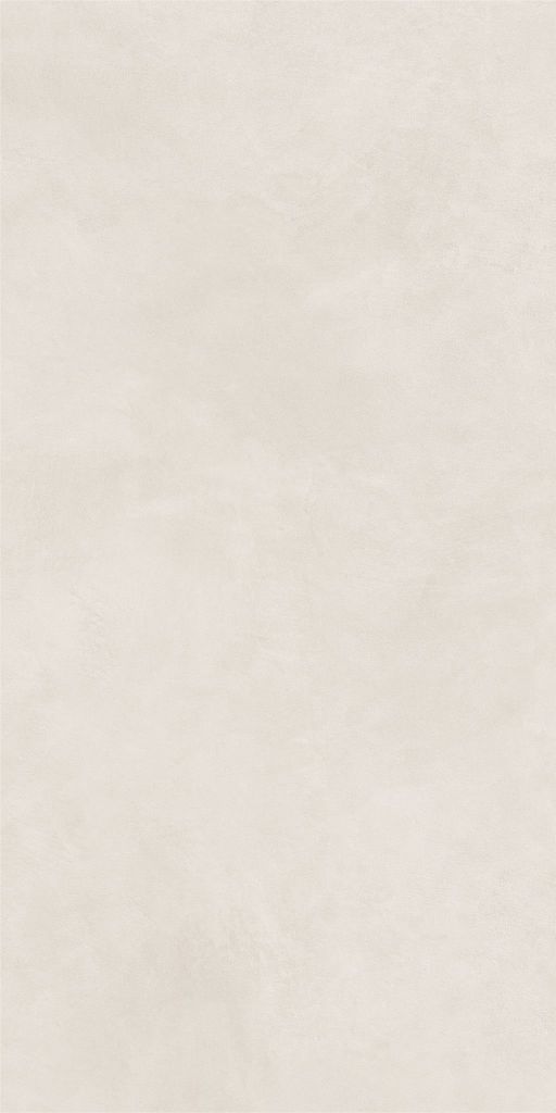Gạch 60x120 Taicera G12P23JM