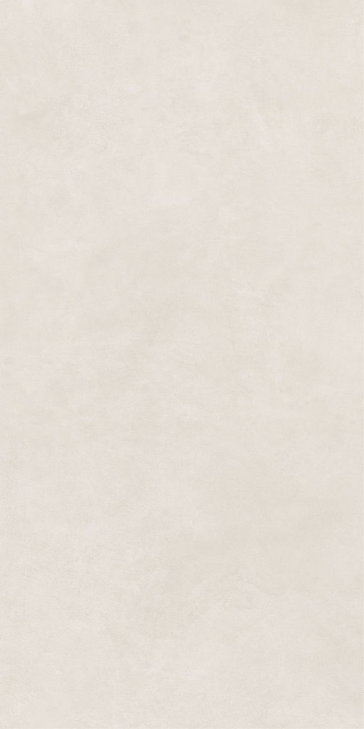 Gạch 60x120 Taicera G12P23JM