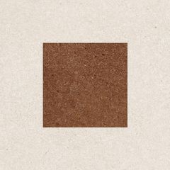 Gạch 30x30 Taicera G38L43JDF