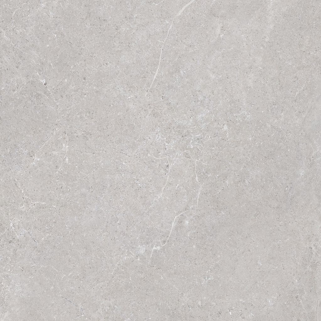 Gạch 60x60 Taicera G68L08JF