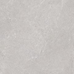 Gạch 60x60 Taicera G68L08JF