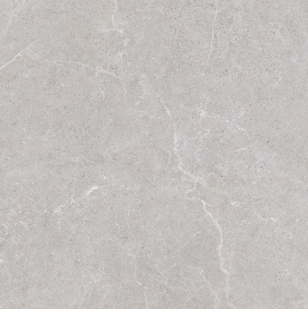 Gạch 60x60 Taicera G68L08JF