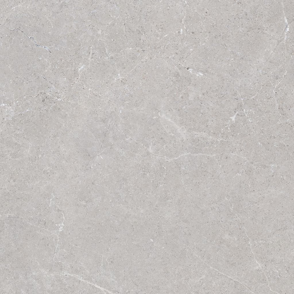 Gạch 60x60 Taicera G68L08JF