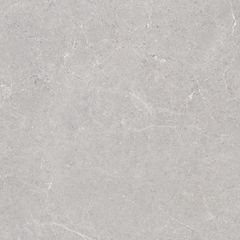 Gạch 60x60 Taicera G68L08JF