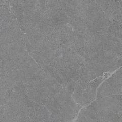 Gạch 60x60 Taicera G68L09JF