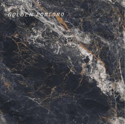 Gạch 100x100 Nhập Khẩu Ấn Độ GOLDEN_PORTORO