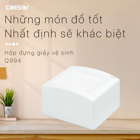 Hộp đựng giấy vệ sinh CAESAR Q994
