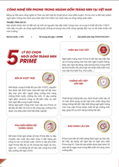 Ngói sóng tráng men PRIME WAVE S