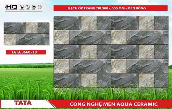 Gạch 30x60 BNC 3660-10 trang trí