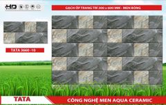 Gạch 30x60 BNC 3660-10 trang trí